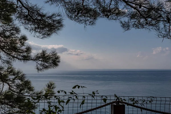 Door Takken Van Een Dennenboom Kunt Zonsondergang Aan Zwarte Zeekust — Stockfoto