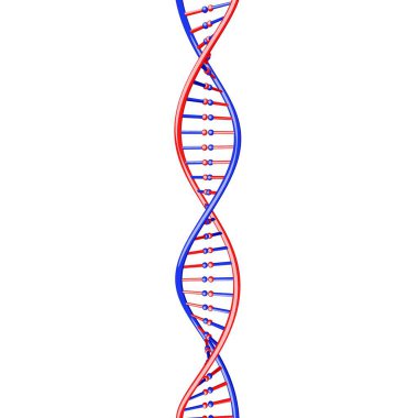 DNA iplik. Beyaz arka plan üzerinde izole. 3D render illüstrasyon. Karikatür tarzı.