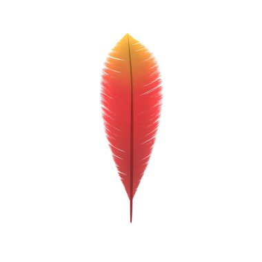 Kırmızı tüy. Beyaz arka plan üzerinde izole. 3D render illüstrasyon.