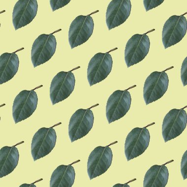 Gül yaprakları arka plan. Seamless modeli.