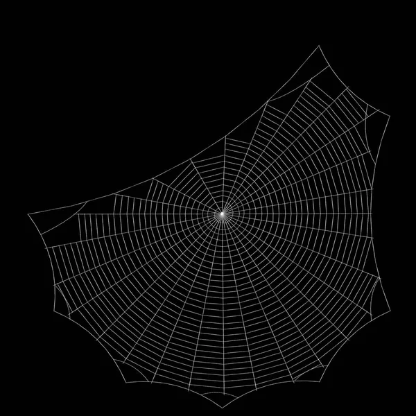 クモの巣 黒の背景上に分離 スケッチ図 — ストック写真