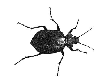 Hata. Beyaz arka plan üzerinde izole. Vektör çizim. Pointilizm stili.