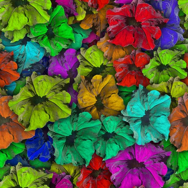 ペチュニアの花のカラフルな背景は シームレス パターン — ストック写真