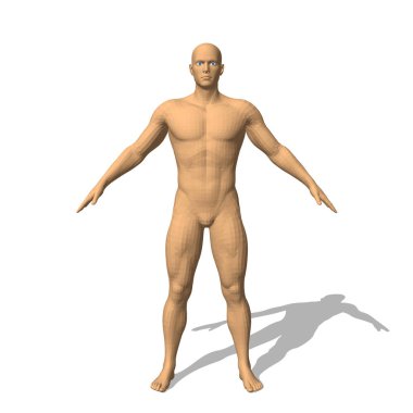 Adam ayakta. Beyaz arka plan üzerinde izole. 3D vektör çizim. Önden görünüm.