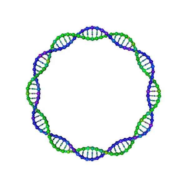 Dna 链以圆的形式 在白色背景下被隔离 矢量插图 点画法风格 — 图库矢量图片