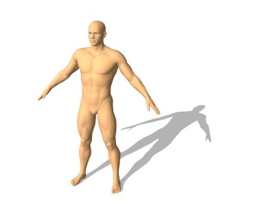 Adam ayakta. Beyaz arka plan üzerinde izole. 3D vektör çizim. 