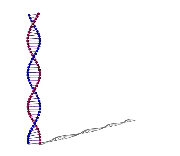 抽象的 Dna 白色背景上的孤立 渲染图 — 图库照片