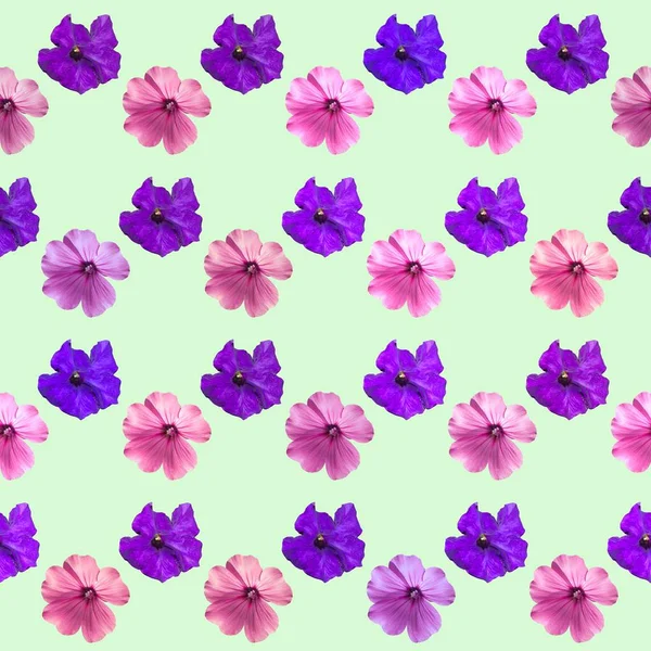 Декоративный Цветочный Фон Seamless Colorful Pattern Petunia Geranium — стоковое фото