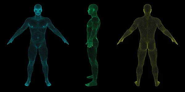 Hombre Pie Cuerpo Humano Wireframe Ilustración Del Esquema Vectorial Diferentes — Archivo Imágenes Vectoriales