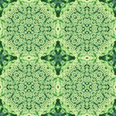 Soyut dekoratif bitki arka planı. Kusursuz desen.