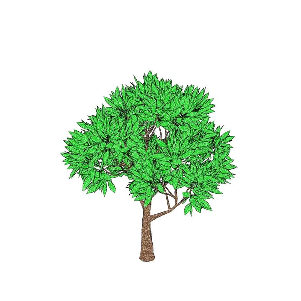 Elma Ağacı Beyaz Arka Plan Üzerinde Izole Kroki Çizim — Stok fotoğraf