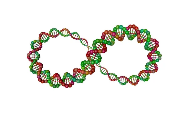 Dna Strand Form Infinity Sign Isolated White Background Rendering Illustration — Stock Photo, Image