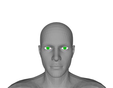 Adam başı. Beyaz arka plan üzerinde izole. 3D vektör çizim. Önden görünüm.