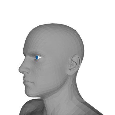 Adam başı. Beyaz arka plan üzerinde izole. 3D vektör çizim.