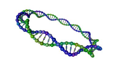 DNA iplik daire şeklinde. Beyaz arka plan üzerinde izole. 3D render illüstrasyon.