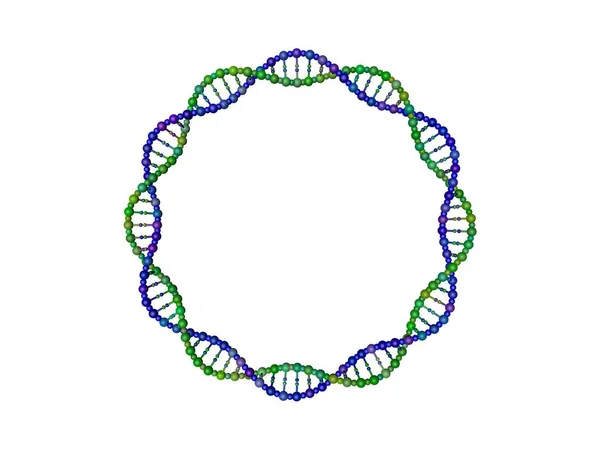 円の形態の Dna 白い背景上に分離 レンダリング図 — ストック写真