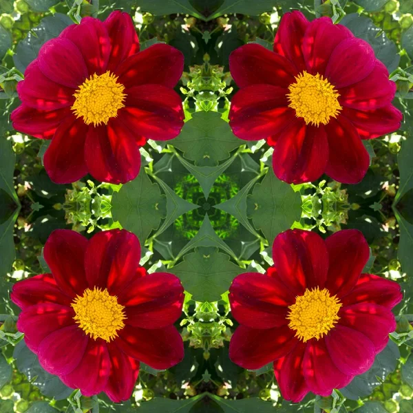 抽象装飾花の背景 シームレスなカラフルなパターン — ストック写真