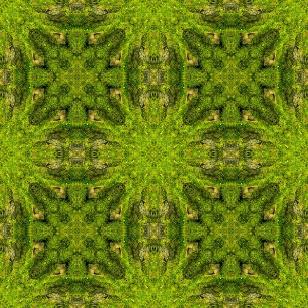 Fondo Musgo Verde Decorativo Abstracto Patrón Sin Costura —  Fotos de Stock