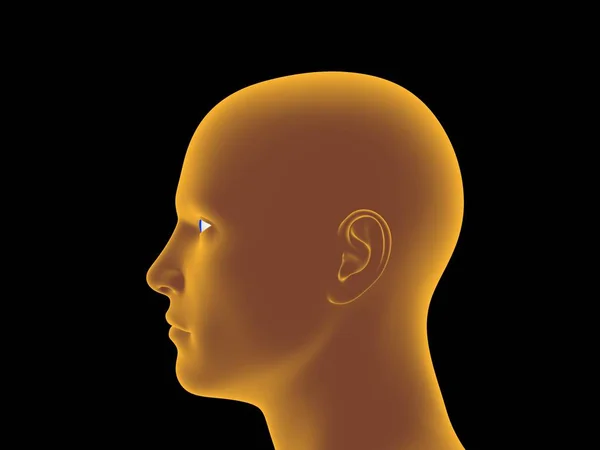 Man head. Isolated on black background. 3D rendering illustration. Luminance effect. Side view.