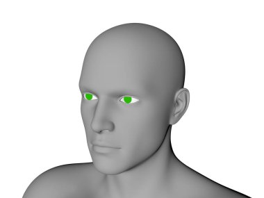 Adam başı. Beyaz arka plan üzerinde izole. 3D render illüstrasyon.