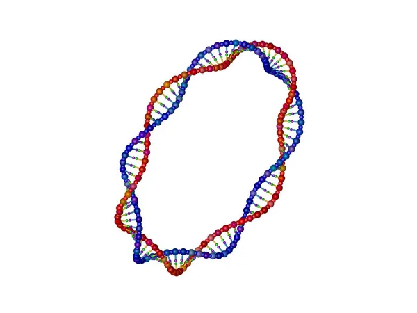 DNA strand in form of circle. Isolated on white background. 3D rendering illustration.