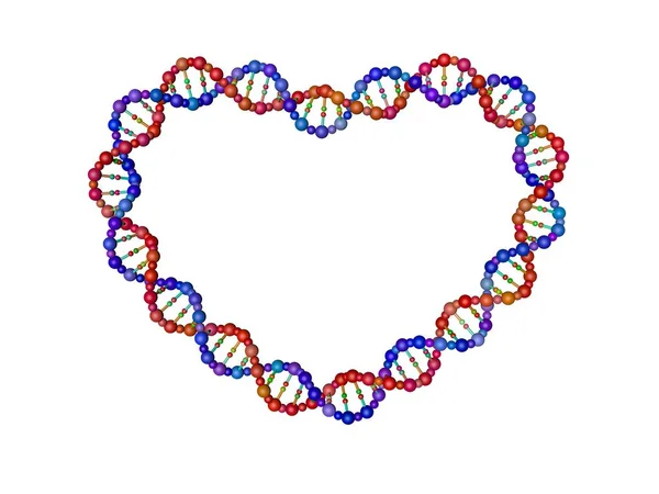 Σκέλος Dna Μορφή Της Καρδιάς Απομονωμένα Λευκό Φόντο Απεικόνιση Απόδοσης — Φωτογραφία Αρχείου