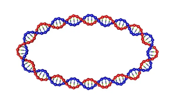 Dna 链的椭圆形形式 隔离在白色背景上 渲染插图 — 图库照片