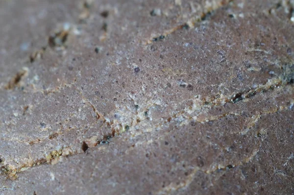 Stone Texture Background Macro Close — Stock Photo, Image