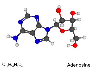 Adenozin, nükleozit, nörotransmitter model molekül. 3D vektör çizim.