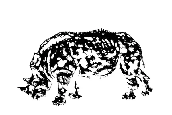 Streszczenie rhinoceros. Ilustracja wektorowa. Styl szkicu. — Wektor stockowy