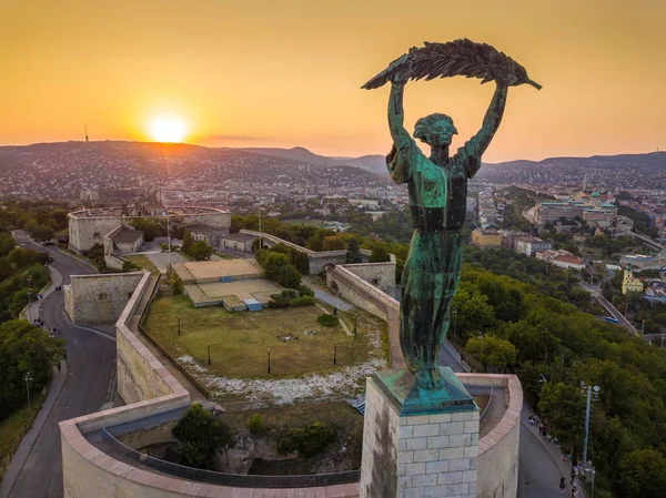 Будапешт Пташиного Польоту Статуя Свободи Захід Сонця Buda Castle Королівського — стокове фото
