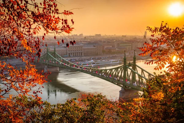 Budapest Magyarország Napfelkeltekor Gyönyörű Őszi Lombozat Szabadság Híd Szabadsag Hid — Stock Fotó