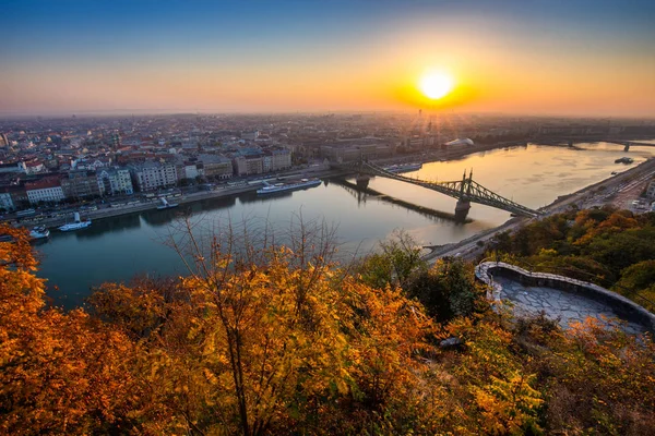 Будапешт Панорамний Skyline Подання Будапешта Красиві Осіннє Листя Міст Свободи — стокове фото