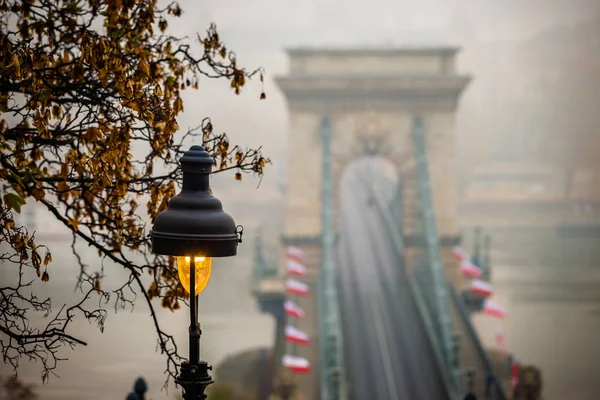 Budapest Hungría Lámpara Calle Con Follaje Otoño Famoso Puente Cadena —  Fotos de Stock