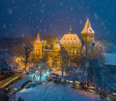 Budapeşte, Macaristan - karlı Şehir Parkı (Varosliget) Yukarıdaki karlı ağaçlar ve Vajdahunyad castle ile gece Noel pazarı