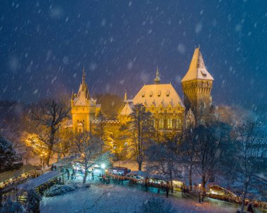 Budapeşte, Macaristan - karlı Şehir Parkı (Varosliget) Yukarıdaki karlı ağaçlar ve Vajdahunyad castle ile gece Noel pazarı