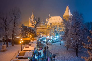 Budapeşte, Macaristan - karlı Şehir Parkı (Varosliget) Yukarıdaki karlı ağaçlar ve Vajdahunyad castle adlı arka plan ile gece Noel pazarı