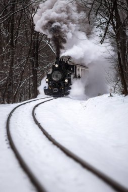 Budapeşte, Macaristan - Huvosvolgy Macar ormanda yolda eski buharlı lokomotif ile güzel karlı kış orman sahnesi