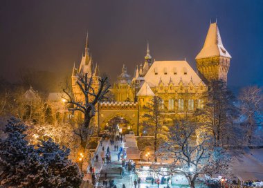 Budapeşte, Macaristan - karlı Şehir Parkı (Varosliget) Yukarıdaki karlı ağaçlar ve Vajdahunyad castle ile gece Noel pazarı