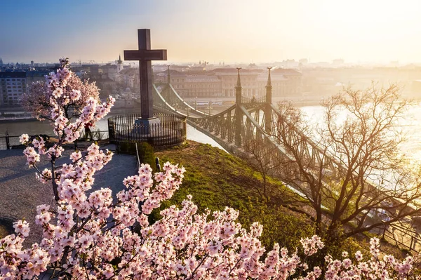 Budapest, Hungary - Spring has arrived in Budapest with beautiful Cherry Blossom, cross and Liberty Bridge on a sunny morning