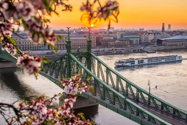 Budapest Ungarn Schöner Frühlingssonnenaufgang Der Freiheitsbrücke Mit Kreuzfahrtschiff Auf Der — Stockfoto