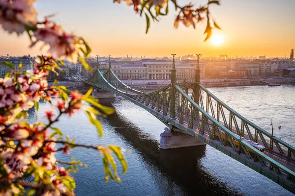 Budapest Ungarn Frühling Budapest Mit Wunderschöner Freiheitsbrücke Über Die Donau — Stockfoto