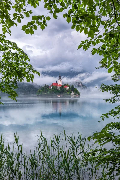 Lake Bled Szlovénia Gyönyörű Bled Blejsko Jezero Zarándoklat Templom Nagyboldogasszony — Stock Fotó