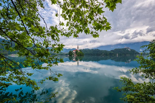 Bled スロベニア Lake Bled Blejsko Jezero マリア被昇天巡礼教会 霧深い夏の朝を背景に城とジュリアンアルプスを焼き 周りに緑の葉 — ストック写真
