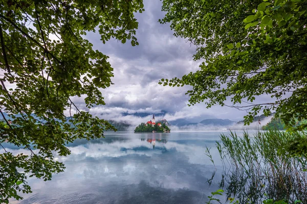 Bled Σλοβενία Όμορφη Λίμνη Bled Blejsko Jezero Προσκύνημα Εκκλησία Της — Φωτογραφία Αρχείου