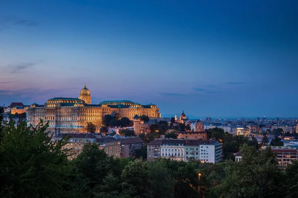 Budapest Hungría Castillo Buda Iluminado Palacio Real Con Parlamento Hungría —  Fotos de Stock