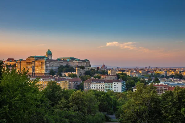 Будапешт Королівський Палац Угорщини Буда Золотим Заходом Сонця Зеленими Деревами — стокове фото