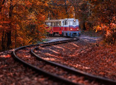 Budapeşte, Macaristan - Macaristan 'ın renkli turuncu ve kırmızı sonbahar ormanları ve yeşillikleriyle Macaristan' ın Huvosvolgy ormanındaki S eğrisi üzerinde çocuk treni ile güzel bir sonbahar manzarası