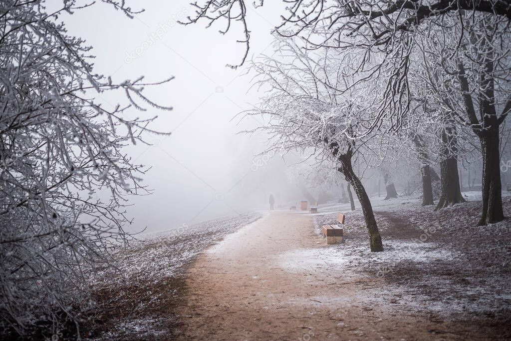 Budapest, Hungary - Beautiful foggy winter scene at Normafa with bench, snowy trees, footpath and walking people at background on the top of Svabhegy which is a popular tourist sight in the Buda Hills