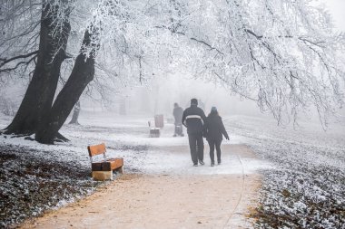 Budapeşte, Macaristan - Güzel sisli kış sahnesi Normafa 'da bank, karlı ağaçlar, patika ve Buda tepelerinde popüler bir turistik manzara olan Svabhegy' nin tepesinde yürüyen insanlar 